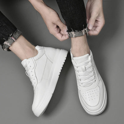 Shealth Invisible Lift Sneakers +8CM — Wolli